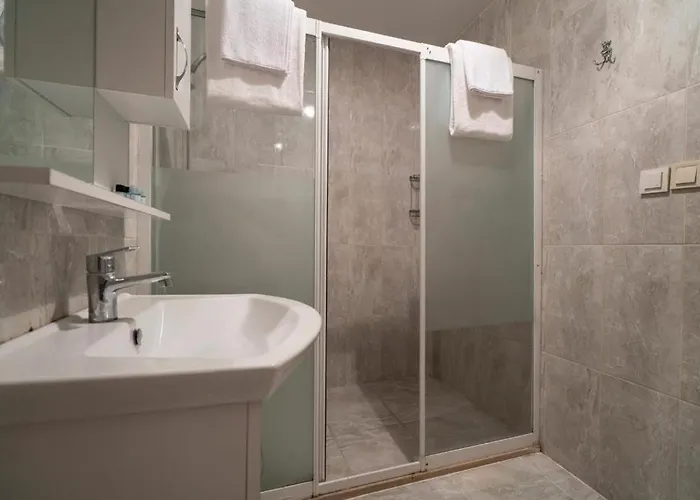 Besiktas Provincia di Istanbul